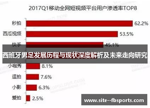 西班牙男足发展历程与现状深度解析及未来走向研究