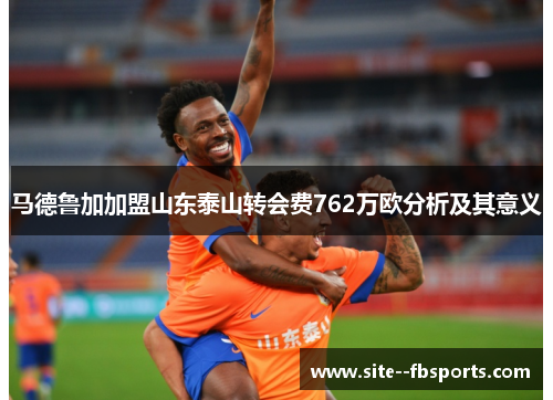 马德鲁加加盟山东泰山转会费762万欧分析及其意义